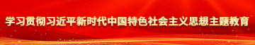 大屌操妞视频学习贯彻习近平新时代中国特色社会主义思想主题教育